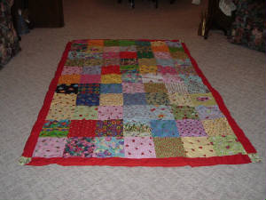 ladybug2quilt.jpg